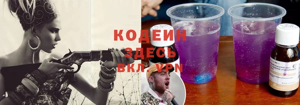 амф Вяземский