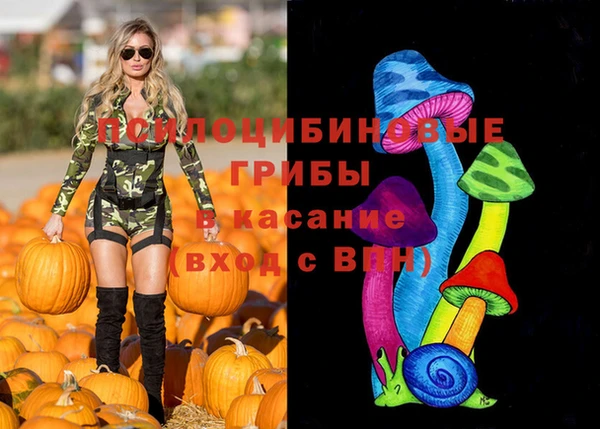 амф Вяземский