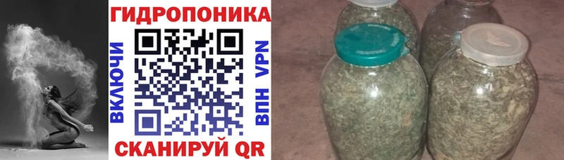 Бошки марихуана THC 21%  гидра зеркало  Брянск 